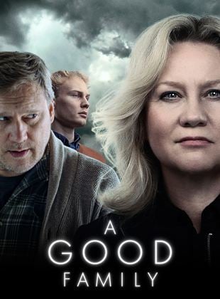 A Good Family Saison 1 en streaming